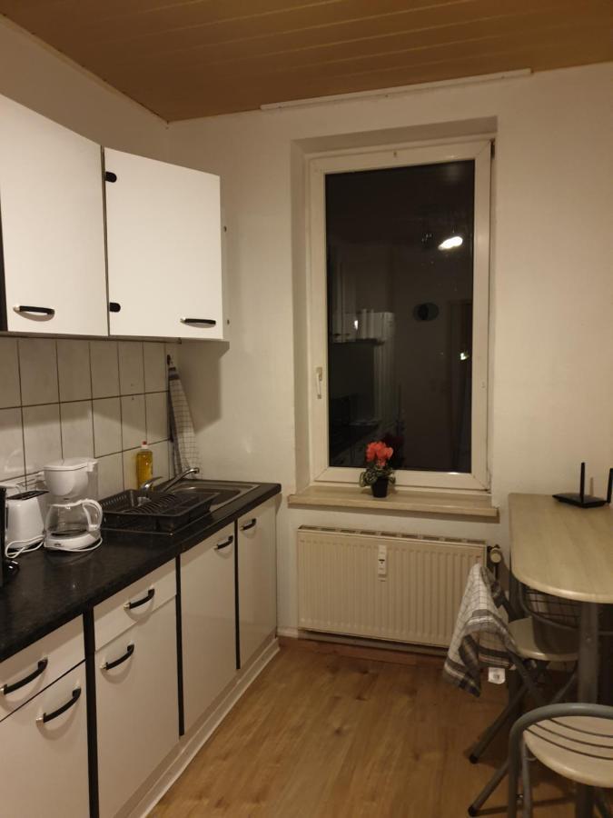 Fewo Nina 3 - Monteurwohnung Weißenfels Eksteriør bilde