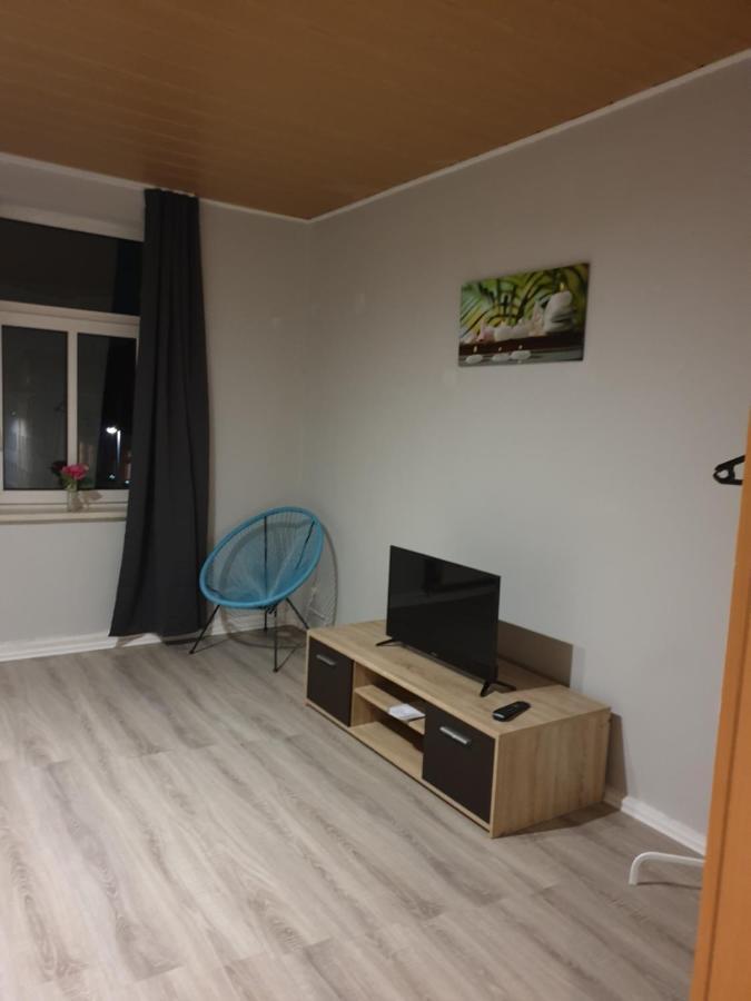Fewo Nina 3 - Monteurwohnung Weißenfels Eksteriør bilde